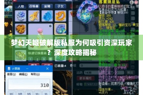 梦幻天姬破解版私服为何吸引资深玩家？深度攻略揭秘