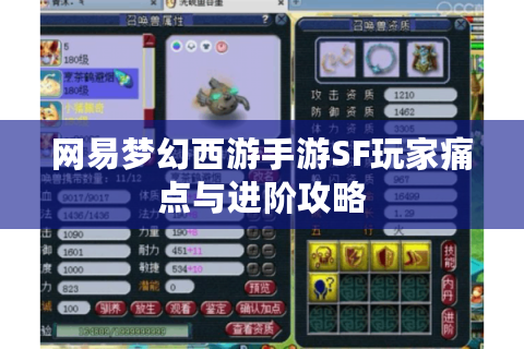 网易梦幻西游手游SF玩家痛点与进阶攻略