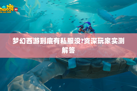 梦幻西游到底有私服没?资深玩家实测解答