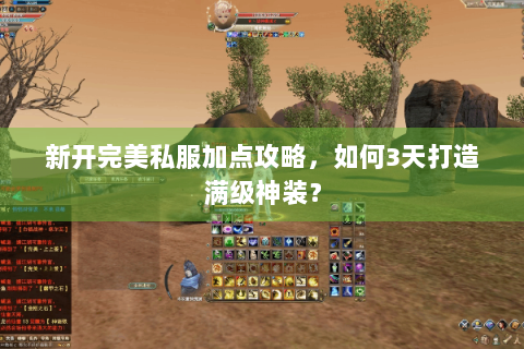 新开完美私服加点攻略，如何3天打造满级神装？