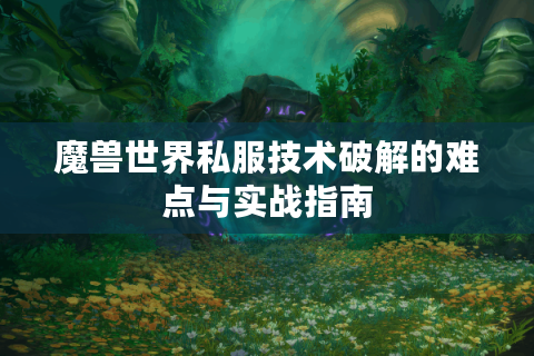 魔兽世界私服技术破解的难点与实战指南
