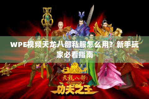 WPE视频天龙八部私服怎么用？新手玩家必看指南
