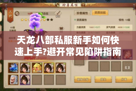 天龙八部私服新手如何快速上手?避开常见陷阱指南