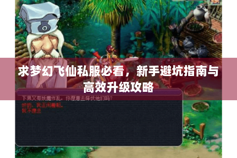 求梦幻飞仙私服必看，新手避坑指南与高效升级攻略