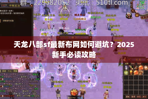 天龙八部sf最新布网如何避坑？2025新手必读攻略