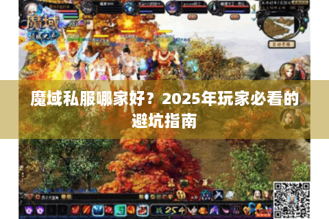 魔域私服哪家好？2025年玩家必看的避坑指南