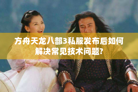 方舟天龙八部3私服发布后如何解决常见技术问题?