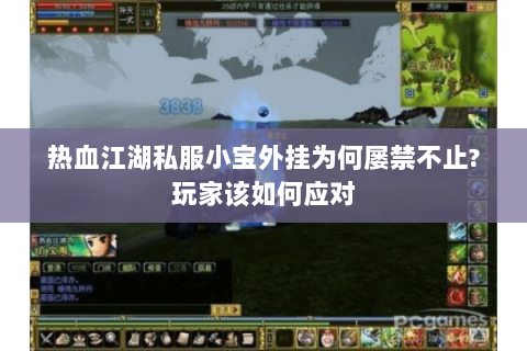 热血江湖私服小宝外挂为何屡禁不止?玩家该如何应对
