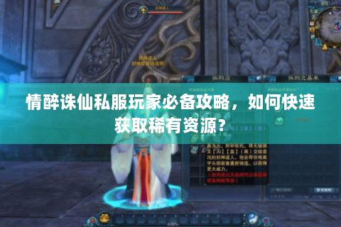 情醉诛仙私服玩家必备攻略，如何快速获取稀有资源？