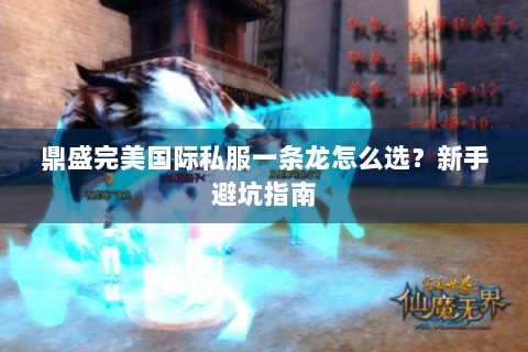 鼎盛完美国际私服一条龙怎么选？新手避坑指南