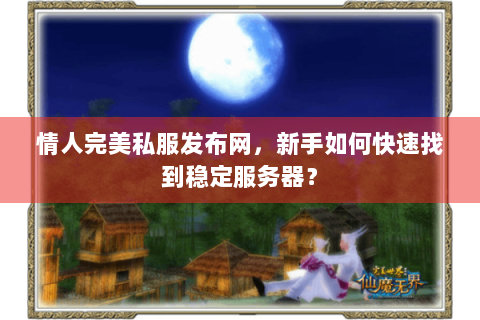 情人完美私服发布网，新手如何快速找到稳定服务器？