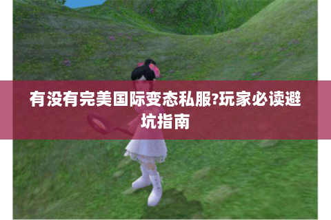 有没有完美国际变态私服?玩家必读避坑指南