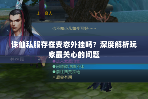 诛仙私服存在变态外挂吗？深度解析玩家最关心的问题