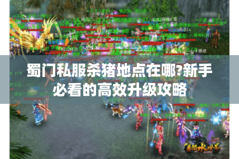 蜀门私服杀猪地点在哪?新手必看的高效升级攻略