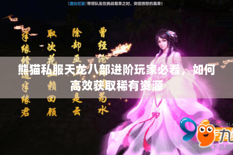 熊猫私服天龙八部进阶玩家必看，如何高效获取稀有资源