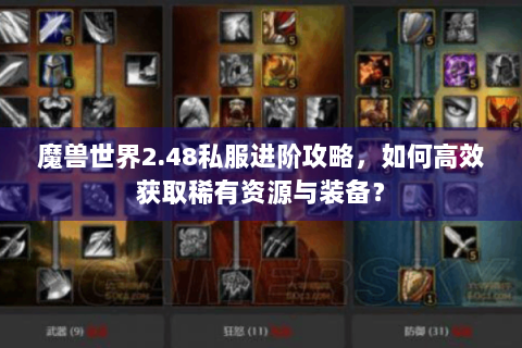 魔兽世界2.48私服进阶攻略，如何高效获取稀有资源与装备？