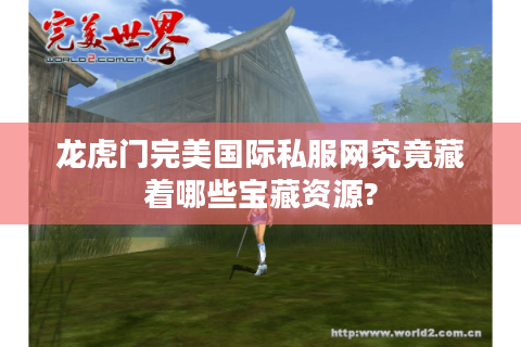 龙虎门完美国际私服网究竟藏着哪些宝藏资源?