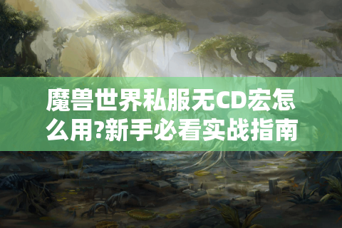魔兽世界私服无CD宏怎么用?新手必看实战指南