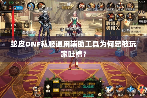 蛇皮DNF私服通用辅助工具为何总被玩家吐槽？
