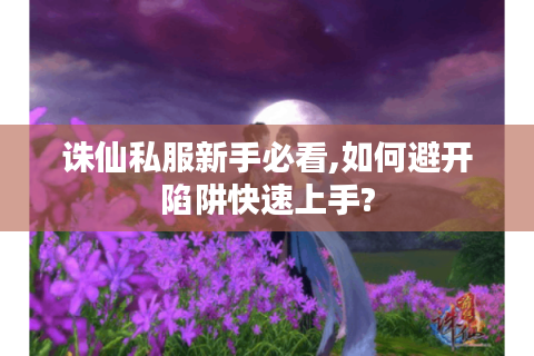 诛仙私服新手必看,如何避开陷阱快速上手?