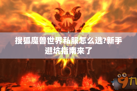 搜狐魔兽世界私服怎么选?新手避坑指南来了