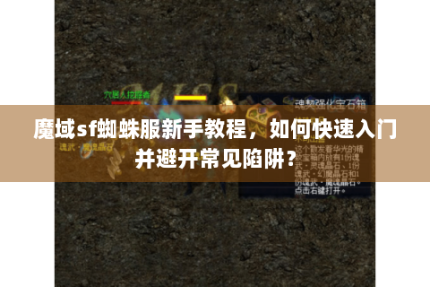 魔域sf蜘蛛服新手教程，如何快速入门并避开常见陷阱？