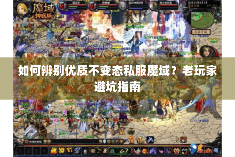 如何辨别优质不变态私服魔域？老玩家避坑指南