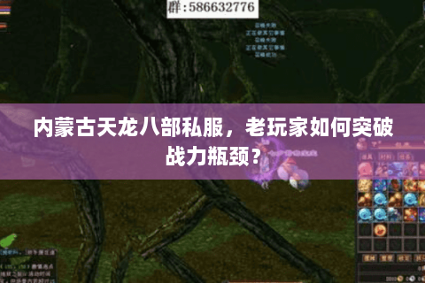 内蒙古天龙八部私服，老玩家如何突破战力瓶颈？