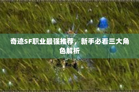 奇迹SF职业最强推荐，新手必看三大角色解析