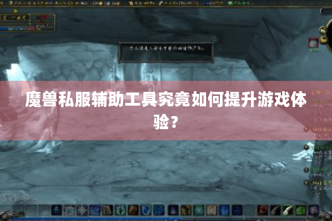 魔兽私服辅助工具究竟如何提升游戏体验？