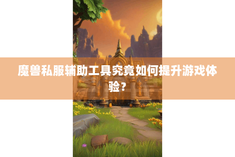 魔兽私服辅助工具究竟如何提升游戏体验？
