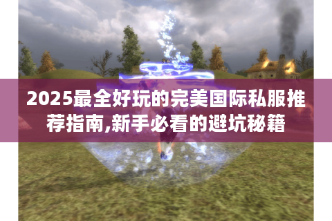 2025最全好玩的完美国际私服推荐指南,新手必看的避坑秘籍