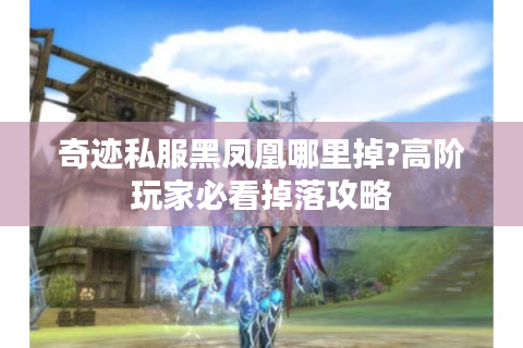 奇迹私服黑凤凰哪里掉?高阶玩家必看掉落攻略