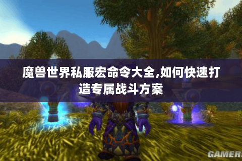 魔兽世界私服宏命令大全，如何快速打造专属战斗方案