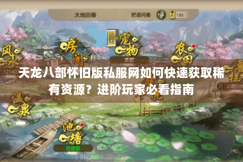 天龙八部怀旧版私服网如何快速获取稀有资源？进阶玩家必看指南