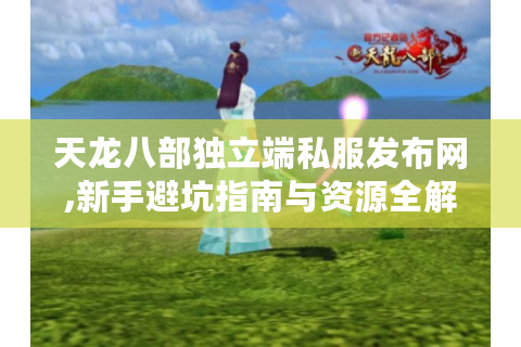 天龙八部独立端私服发布网,新手避坑指南与资源全解析