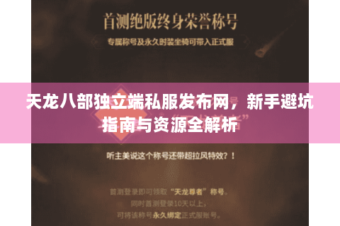 天龙八部独立端私服发布网，新手避坑指南与资源全解析