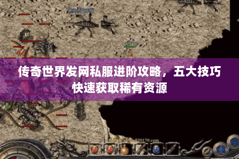 传奇世界发网私服进阶攻略，五大技巧快速获取稀有资源