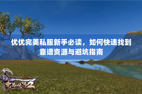 优优完美私服新手必读，如何快速找到靠谱资源与避坑指南