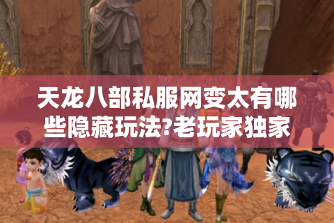 天龙八部私服网变太有哪些隐藏玩法?老玩家独家揭秘