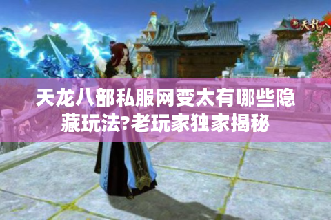 天龙八部私服网变太有哪些隐藏玩法?老玩家独家揭秘
