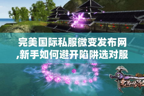 完美国际私服微变发布网,新手如何避开陷阱选对服务器?