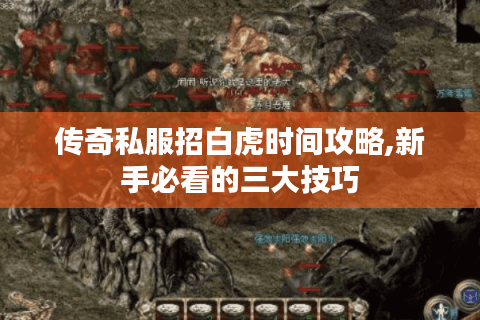 传奇私服招白虎时间攻略,新手必看的三大技巧