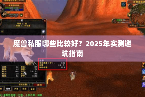 魔兽私服哪些比较好？2025年实测避坑指南