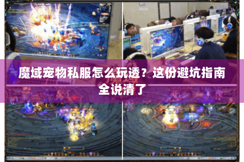 魔域宠物私服怎么玩透？这份避坑指南全说清了