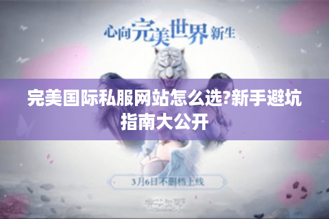 完美国际私服网站怎么选?新手避坑指南大公开