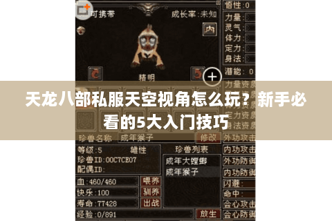 天龙八部私服天空视角怎么玩？新手必看的5大入门技巧