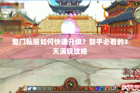 蜀门私服如何快速升级？新手必看的3天满级攻略