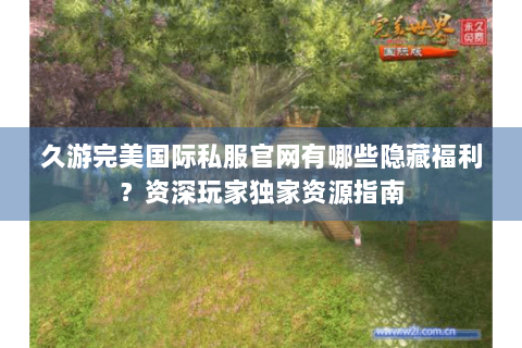 久游完美国际私服官网有哪些隐藏福利？资深玩家独家资源指南