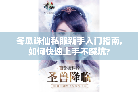冬瓜诛仙私服新手入门指南,如何快速上手不踩坑?